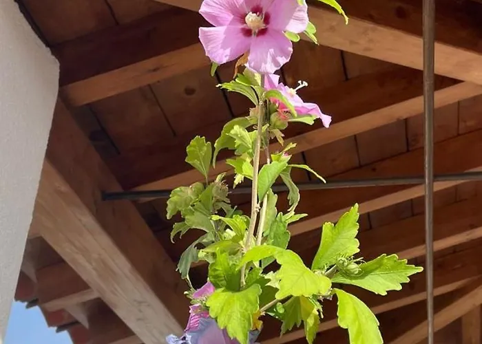 בית נופש Caleffa Albaicin 1 גרנדה